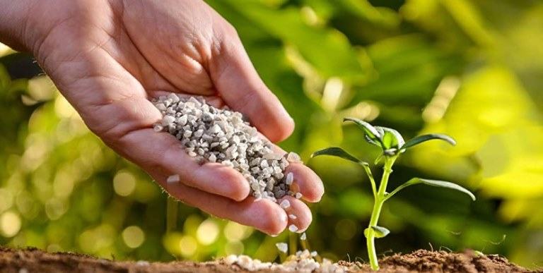 best 12-12-12 fertilizer reviews