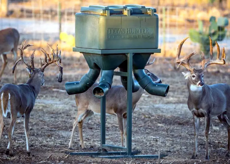 best deer protein feeder reviews
