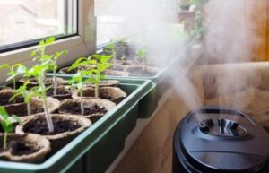 Best Dehumidifier For Grow Tent Reviews