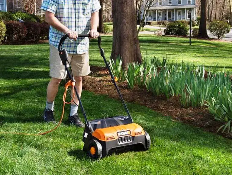 Best Electric Dethatcher Reviews