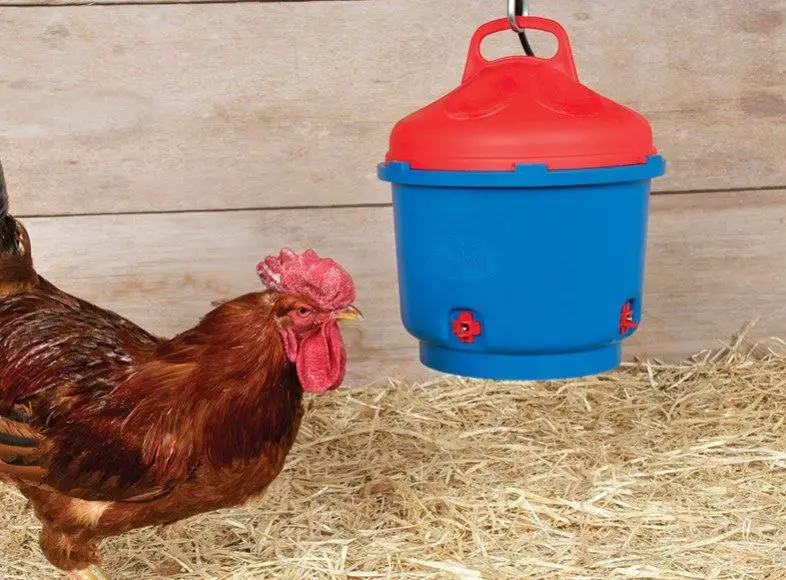 best heated chicken waterer reviews