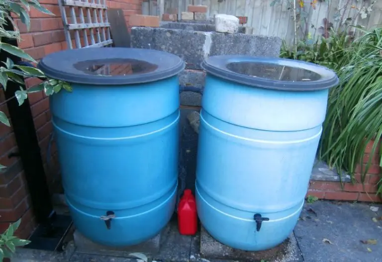 best rain barrel reviews