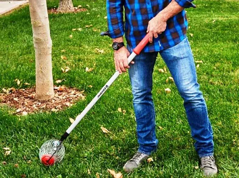best rake for acorns reviews