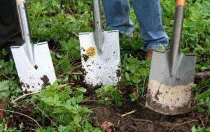 best trenching shovel reviews