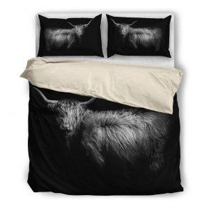 highland cattle in the dark white