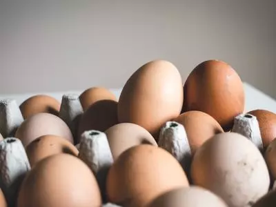 chicken egg vs duck egg