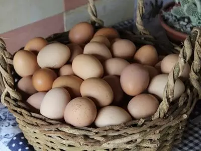 How does a chicken produce an egg?