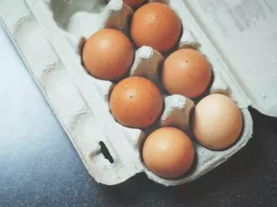 How is a chicken egg fertilized by a rooster?