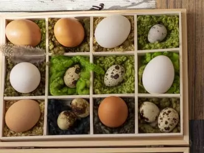 quail and chicken eggs