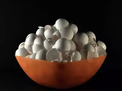 How does a chicken lay an egg everyday