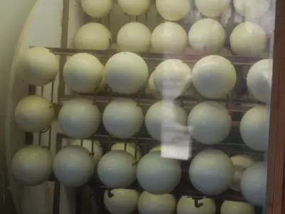 Eggs in an incubator
